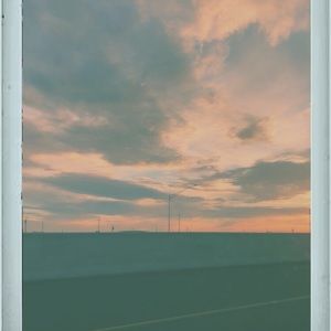 Meet your Posher, Delaney